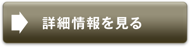 詳細情報を見る