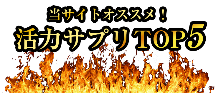 パラミロン高含有商品群比較